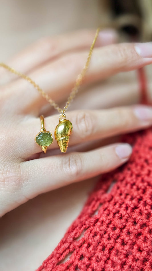 Petits coquillages dorés