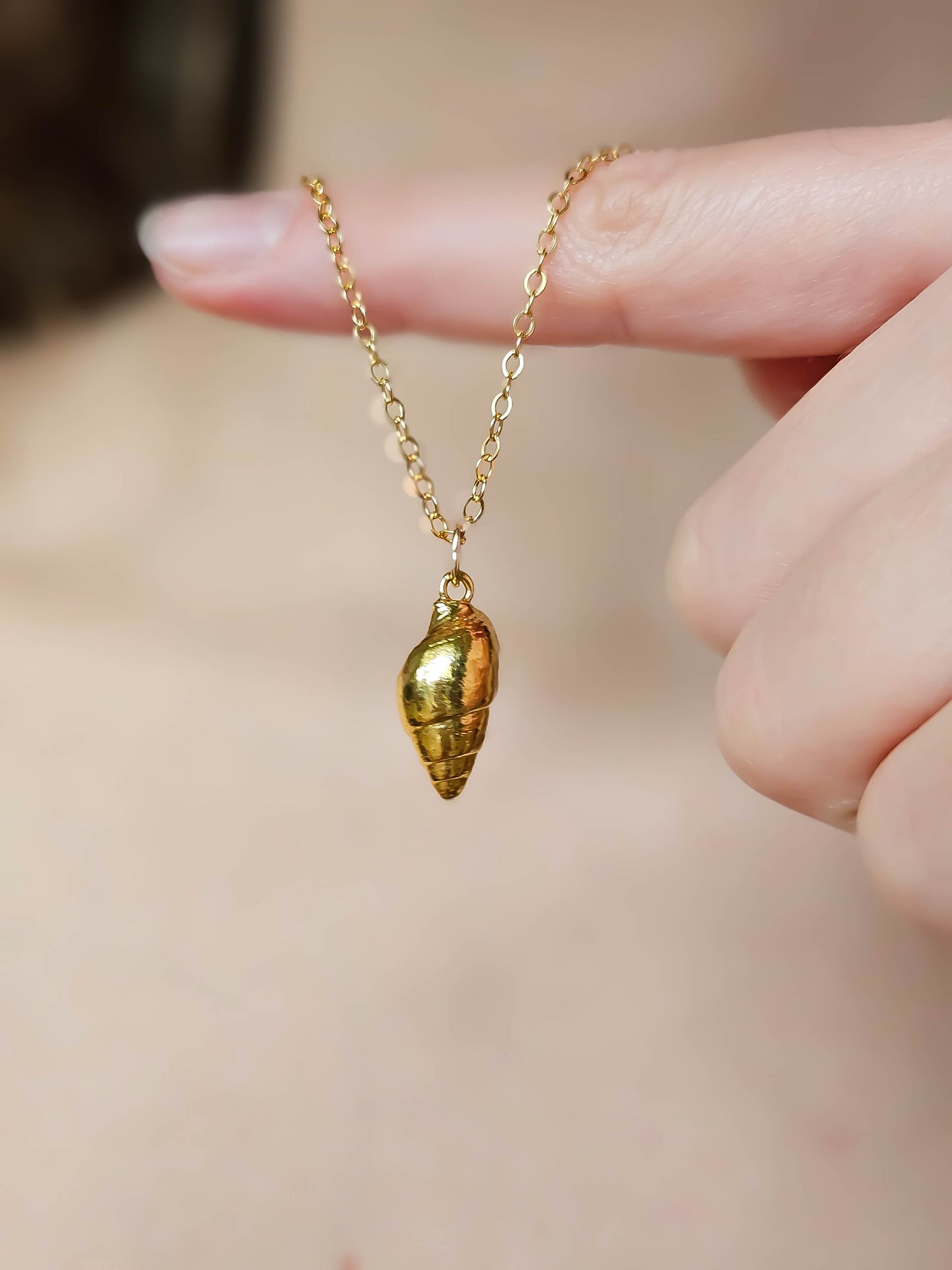 Petits coquillages dorés