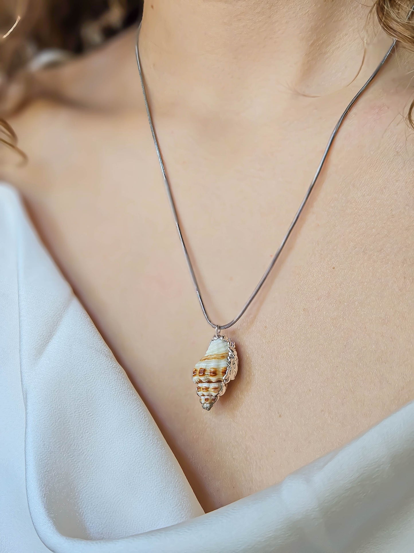 Collier coquillage, Argent