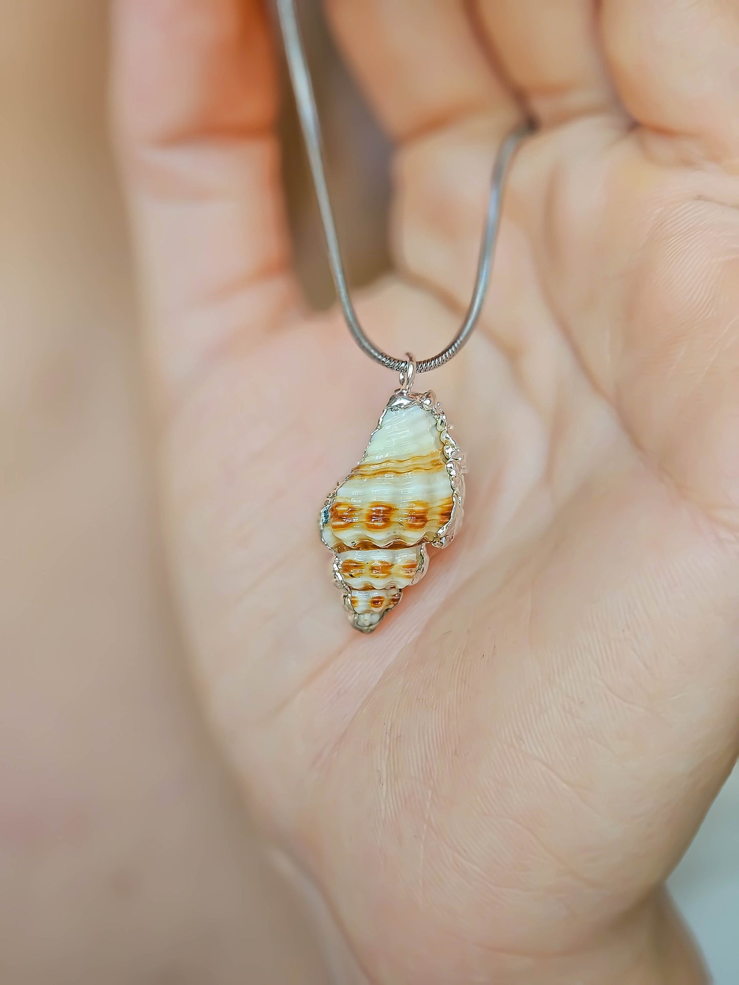 Collier coquillage, Argent