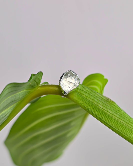 Puces d'oreille, Argent