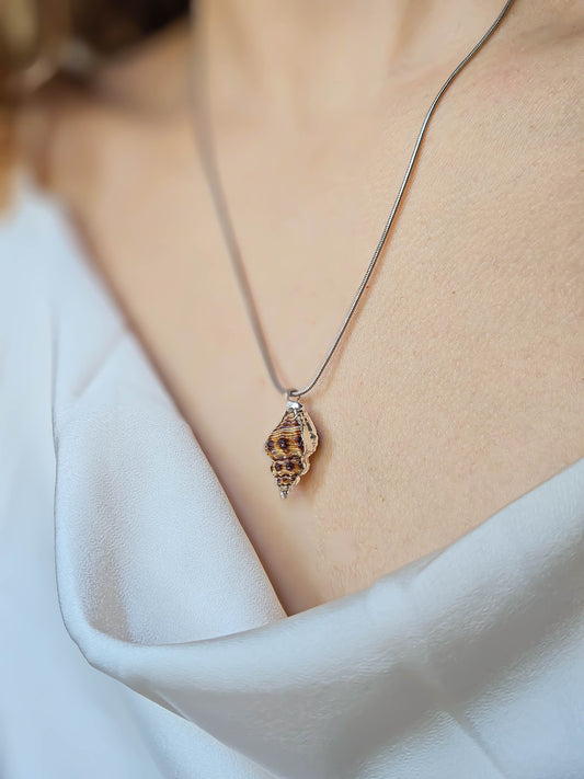 Collier coquillage, Argent