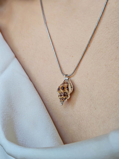 Collier coquillage, Argent