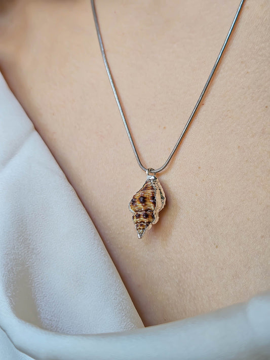 Collier coquillage, Argent