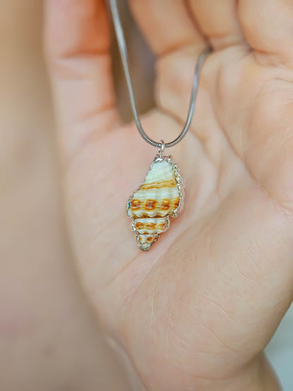 Collier coquillage, Argent