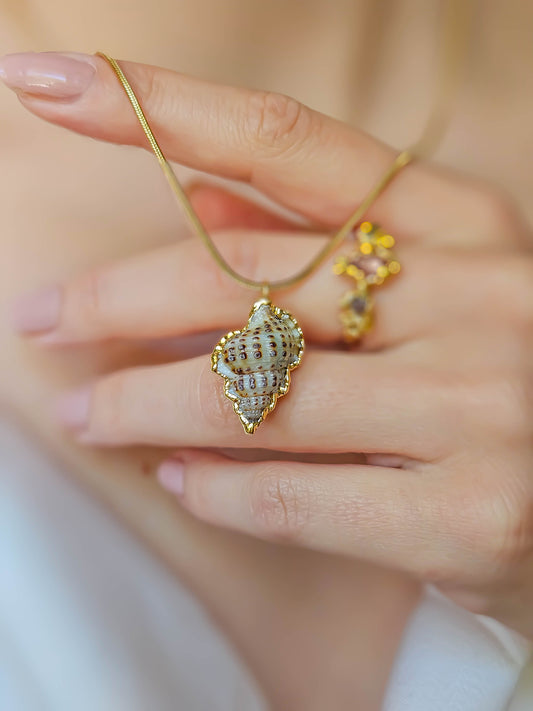 Collier coquillage, doré