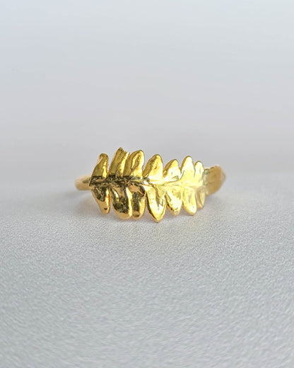 Bague Fougère I