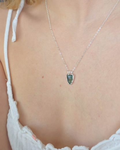 Collier Agate mousse, Bouclier