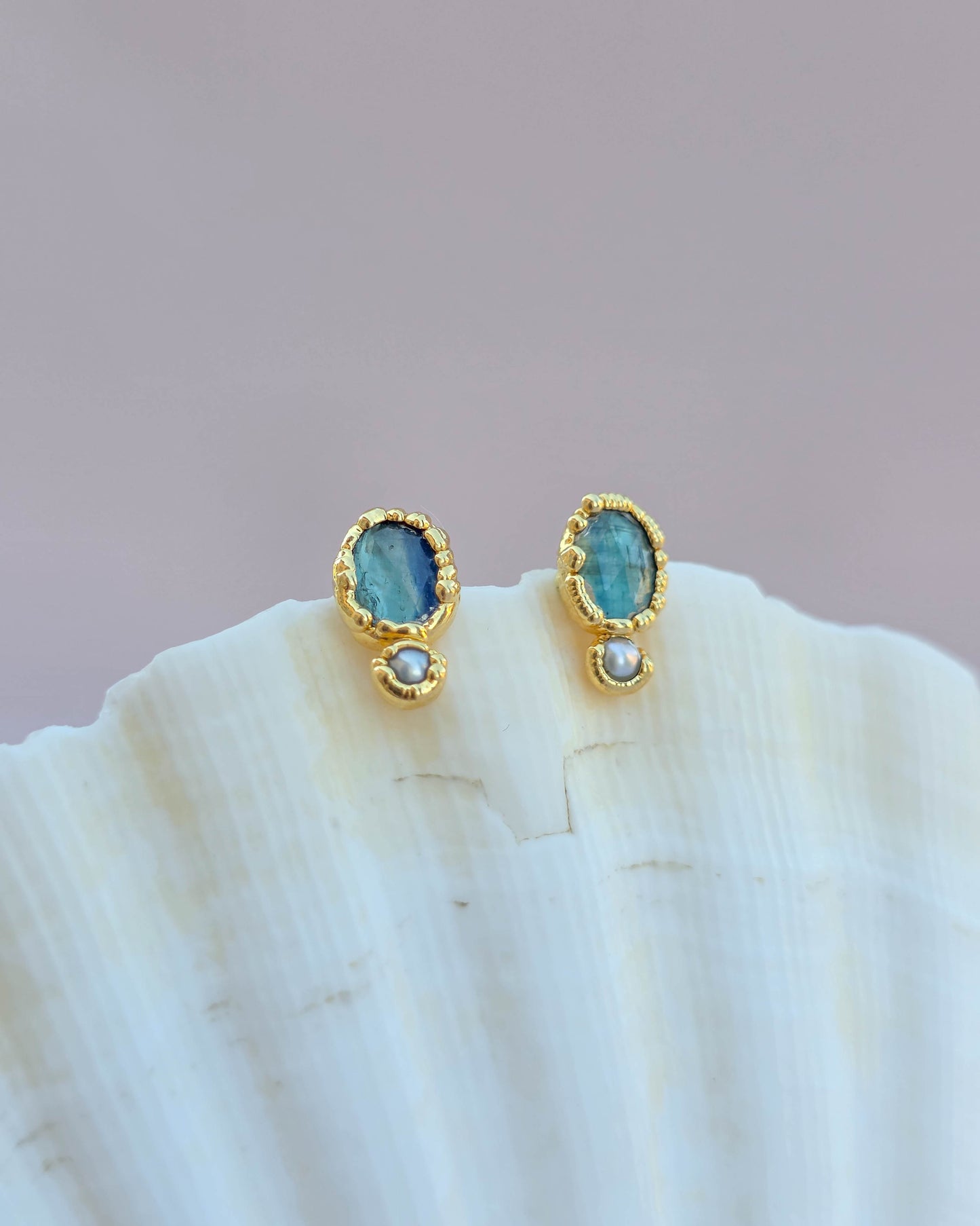 Puces Bleu sel