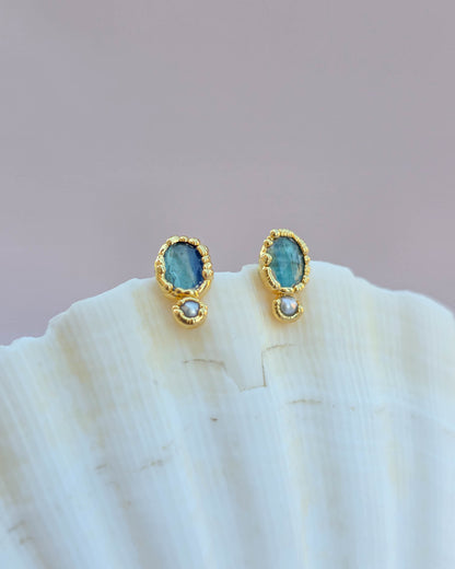 Puces Bleu sel