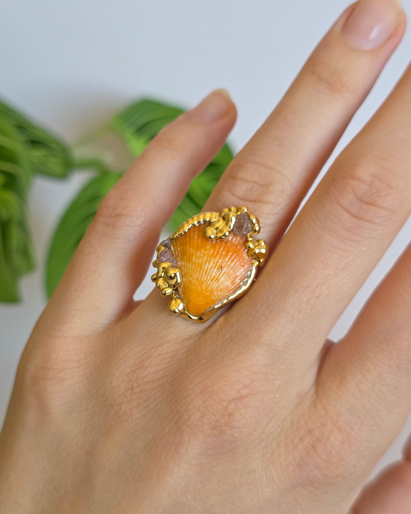 Bague coquillage réglable T52-54